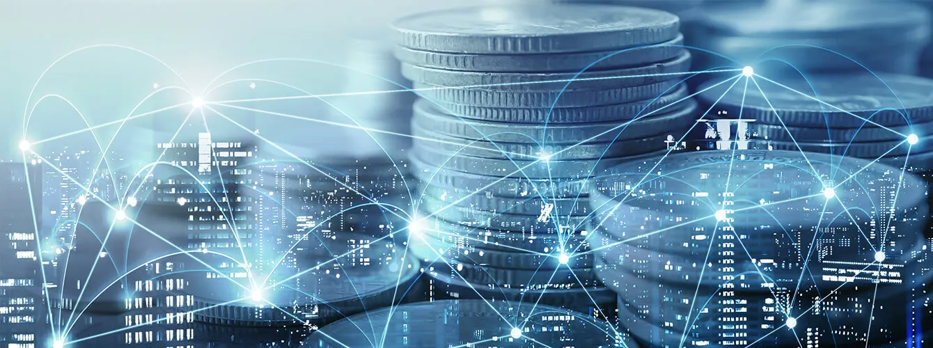 Banner showcasing South Seas Data helps Financial Services