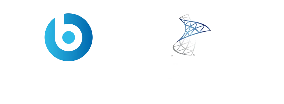 BigFix+ Microsoft