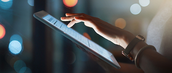 Partner Solutions Agreement