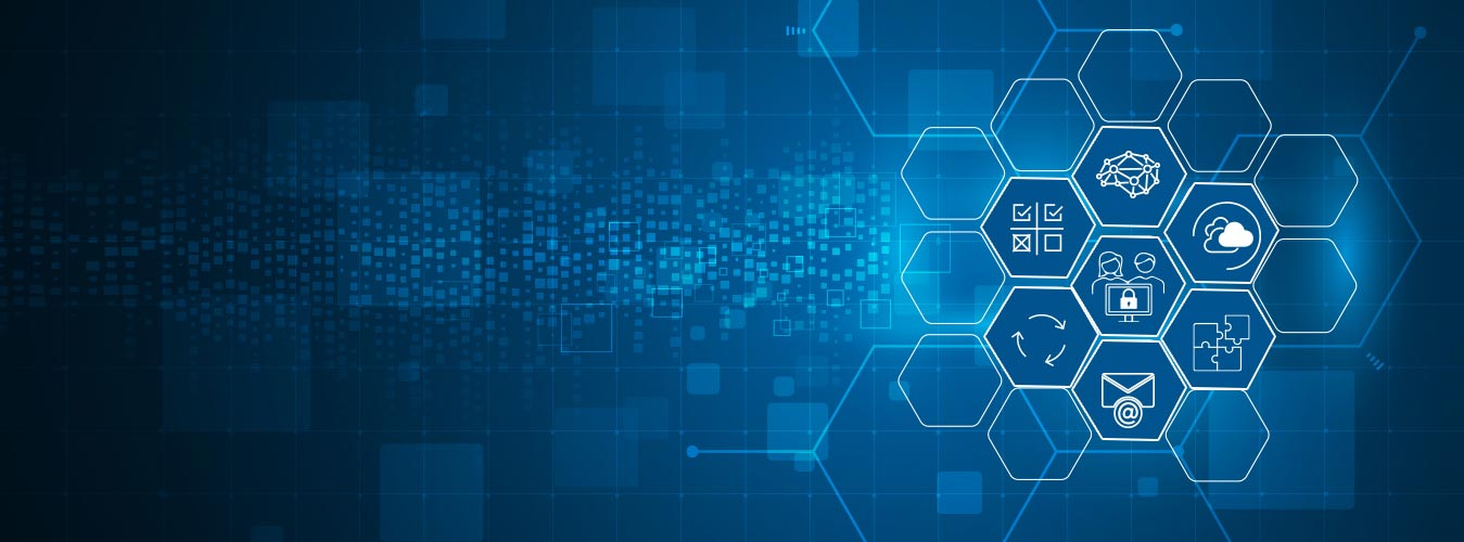 Best Vulnerability Management Software