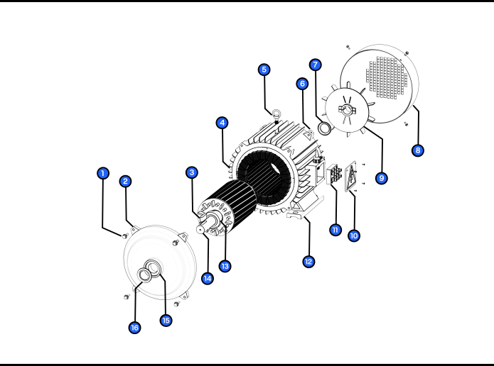 Easy Exploration and Examination