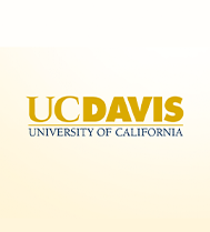 New York University Logo