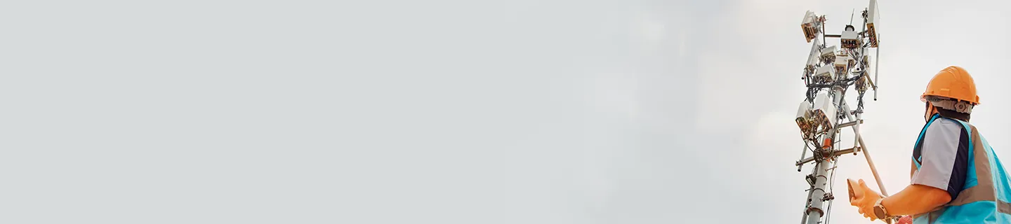 Extending Domino's Power with Nomad and Integration