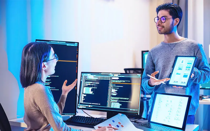 Development With Flexibility and Effective Management