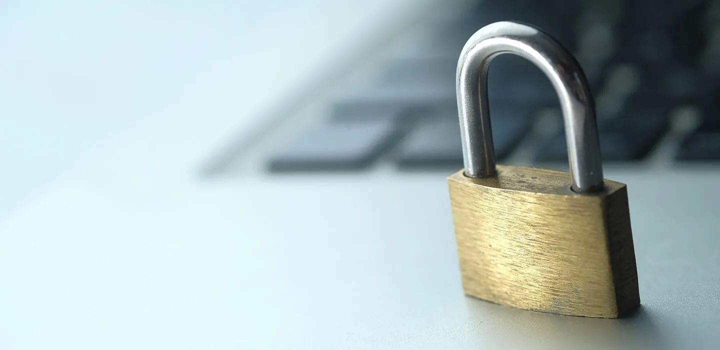 Secure web-based and client-based access to enterprise applications